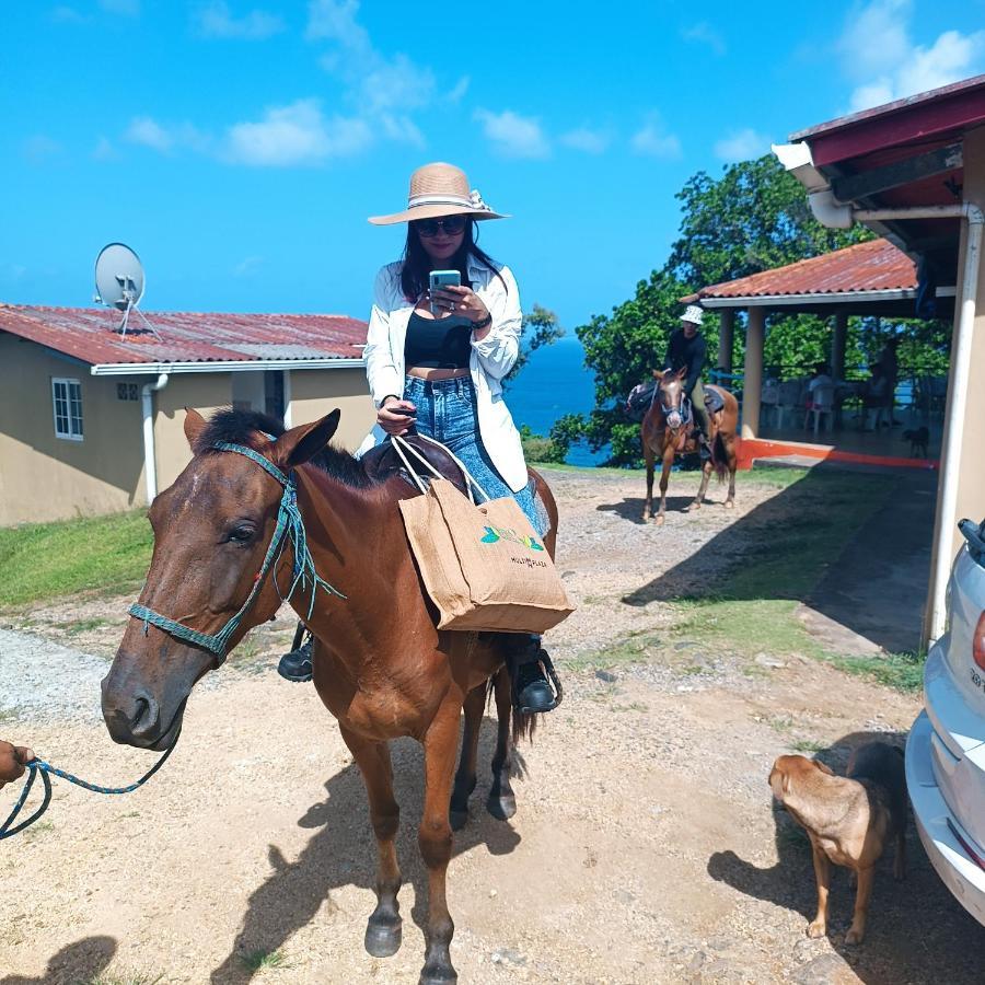 Rancho Juancho 호텔 포르토벨로 외부 사진