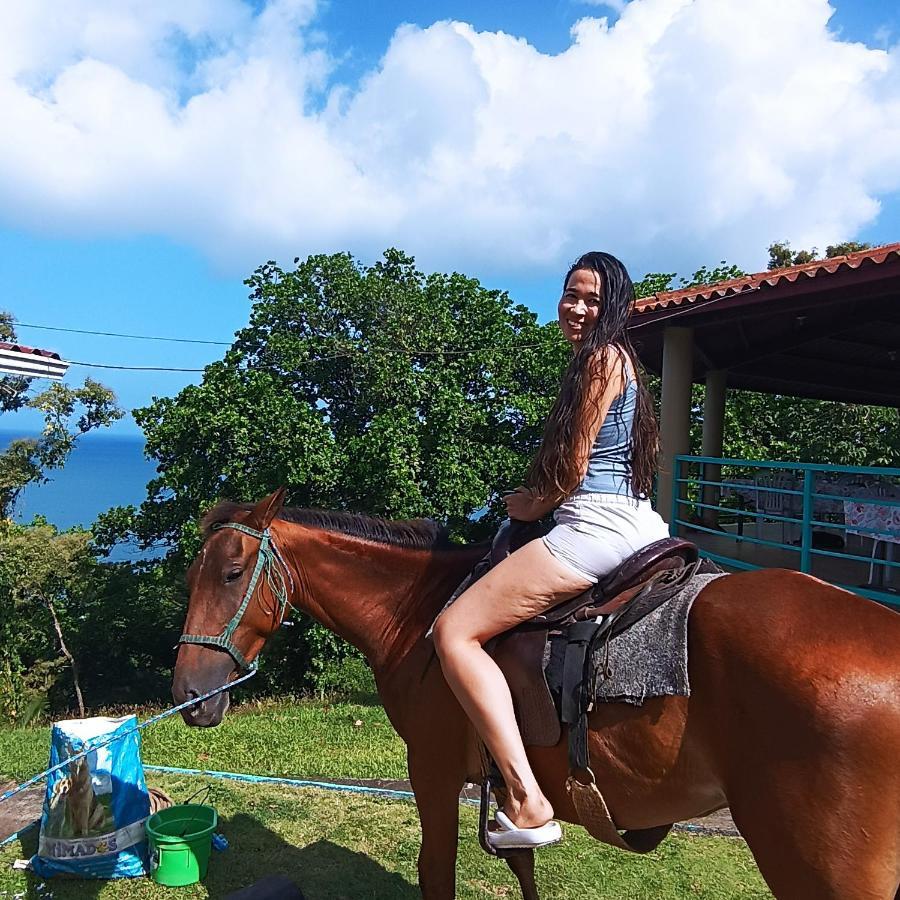 Rancho Juancho 호텔 포르토벨로 외부 사진