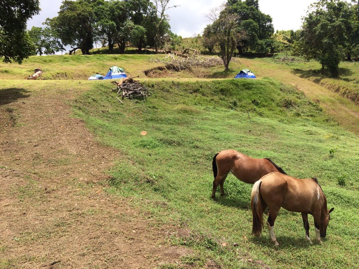 Rancho Juancho 호텔 포르토벨로 외부 사진